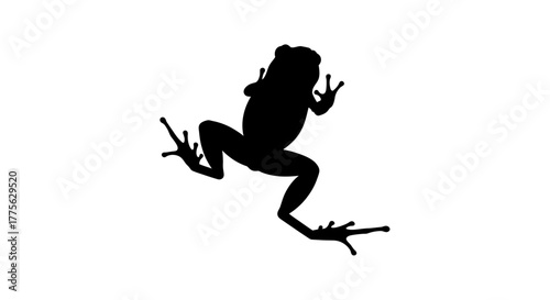 Silhouette of a frog with outstretched limbs against a white background.