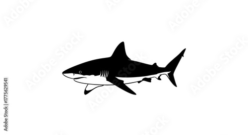 A black and white illustration of a shark swimming, showcasing its dorsal fin and streamlined body.