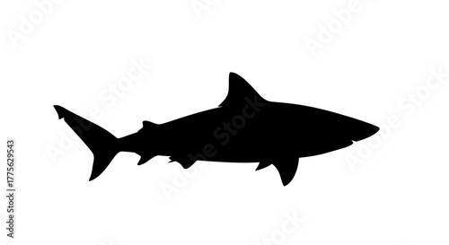 Silhouette of a shark swimming, showing its dorsal fin, pectoral fins, and tail fin against a white background.