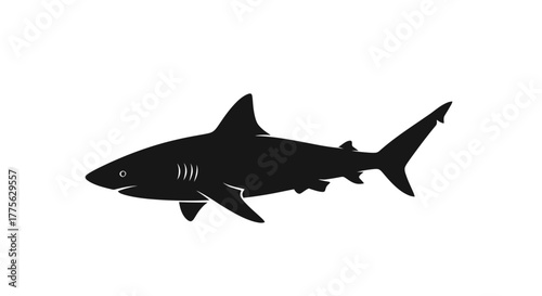 Silhouette of a shark swimming, showing its dorsal fin, pectoral fin, and tail fin against a white background.