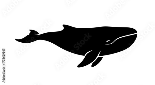 Silhouette of a whale swimming, side view, isolated on white background, marine mammal.