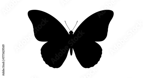 Silhouette of a butterfly with symmetrical wings and antennae on a white background.