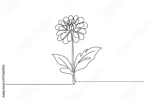 Single one line drawing dahlia flower. Beautiful flower concept. Continuous line draw design. one line Icon drawing with white background