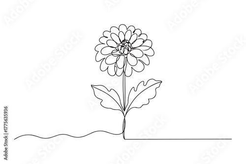 Single one line drawing dahlia flower. Beautiful flower concept. Continuous line draw design. one line Icon drawing with white background