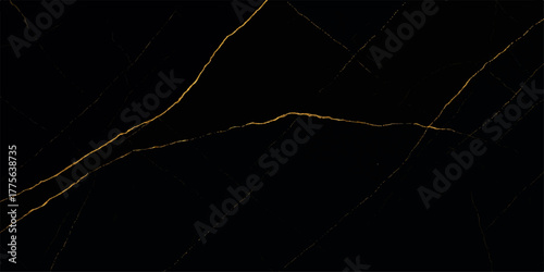 Bright white spider on a web with abstract black texture and dramatic flash of lightning in the dark night sky