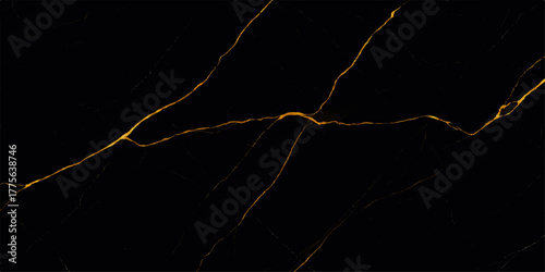  Lightning in the dark illuminating a dead tree branch against the black sky