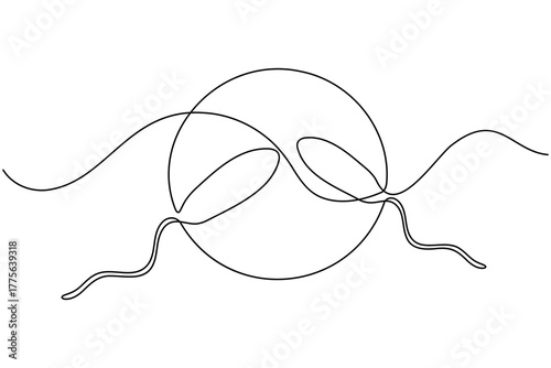 Human sperm icon continuous one line drawing on white background minimalist reproductive cell outline vector illustration