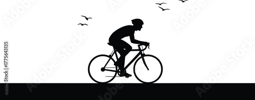 Silhouette of a cyclist riding a bicycle with birds flying, cyclist, bicycle, cycling, bike, sport, recreation, silhouette, person, man, helmet, road, motion, speed, birds, flying, flock, sky, white b