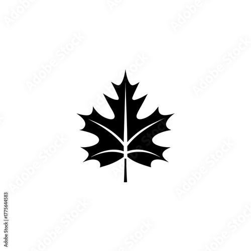 Silhouette of a single maple leaf on a white page on transparent background