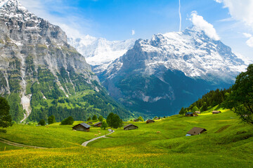 Foto auf Acrylglas Alpen Beautiful mountain Summer landscape of Swiss Alps  © Personal Efficiency