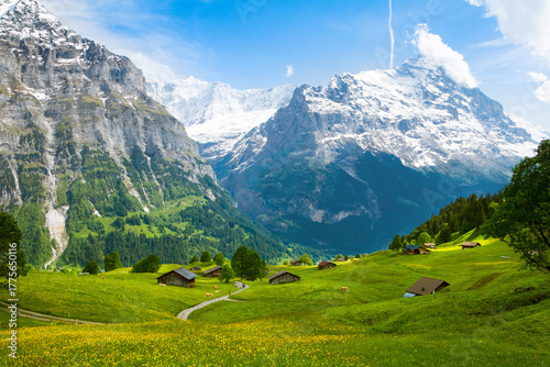 Beautiful mountain Summer landscape of Swiss Alps