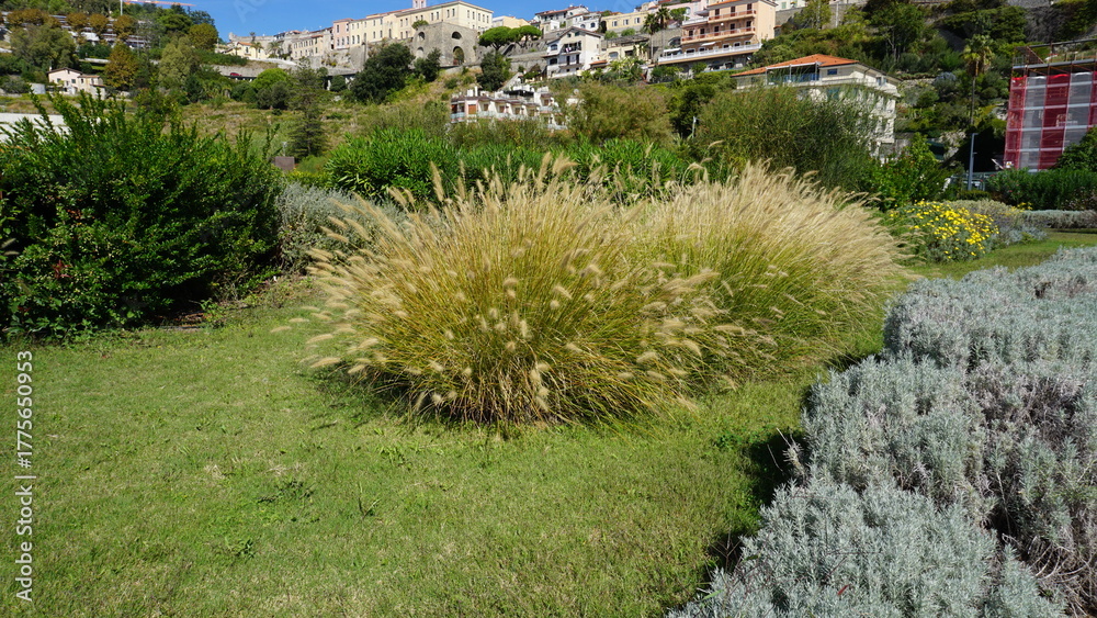 Obraz premium Colorful houses in old town of Ventimiglia in a beautiful summer day, Italy