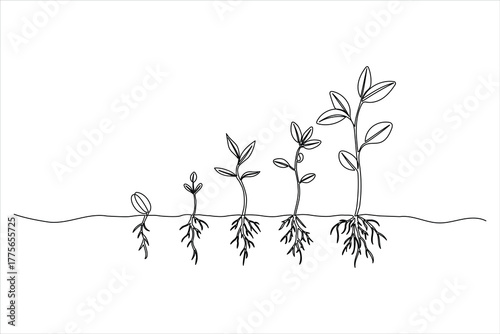 One continuous line drawing of the six stages of plant growth from seed to stem