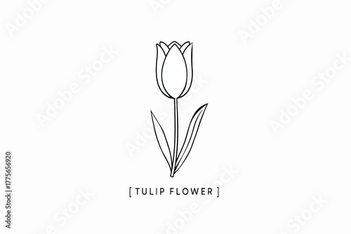 Minimal tulip flower line art illustration with twin leaves and bracket title, ideal for modern graphic templates.