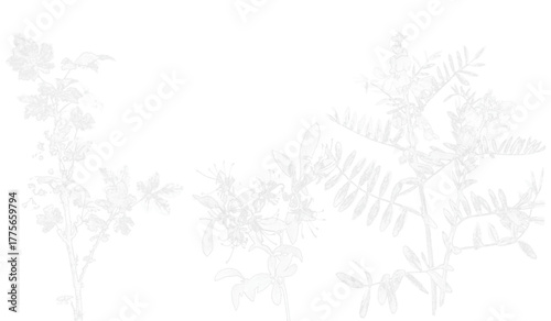 vector illustration of a tree. Artistic white leaves tree black and white.