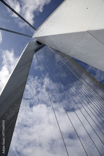 The Erasmusbrug spanning th...