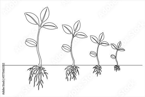 Minimalist single-line illustration showing seedling maturity from small to large