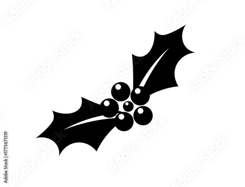 Black holly leaves with berries on isolated background