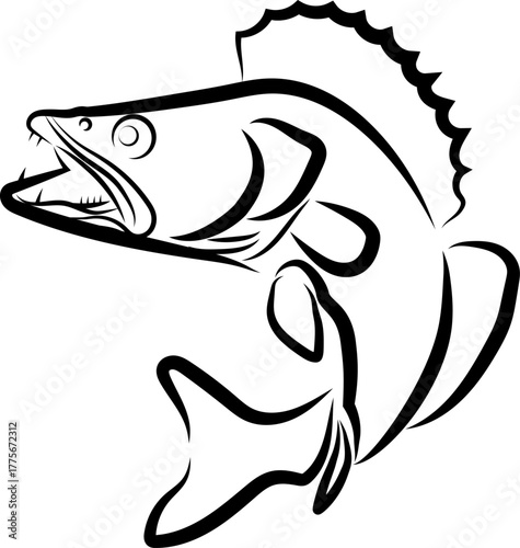 Zander gezeichnet, Zander, Fisch, Angeln, Sport, Logo, Icon