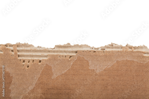 Torn cardboard isolated on white background.