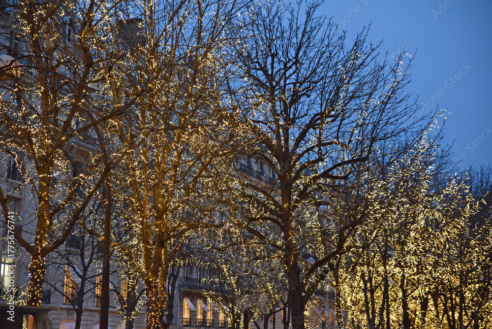 Fototapeta premium Avenue décorée à Noël