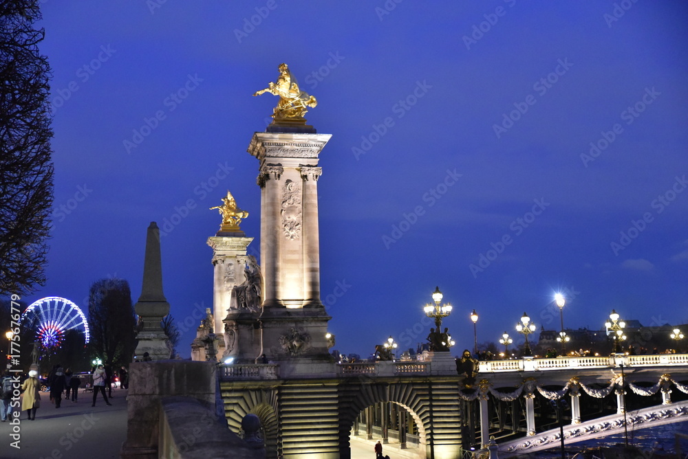 Fototapeta premium Pont&nbsp;Alexandre&nbsp;III&nbsp;à&nbsp;Paris&nbsp;la&nbsp;nuit