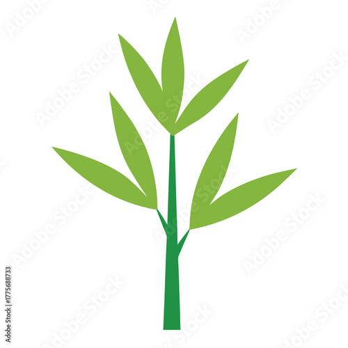 elegant bamboo leaves composition flat vector