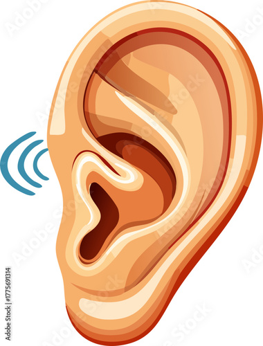 Kulak duyma ,kulak ve ses dalgaları vektör