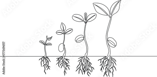 Minimalist artistic illustration of a four-stage seedling growing in soil