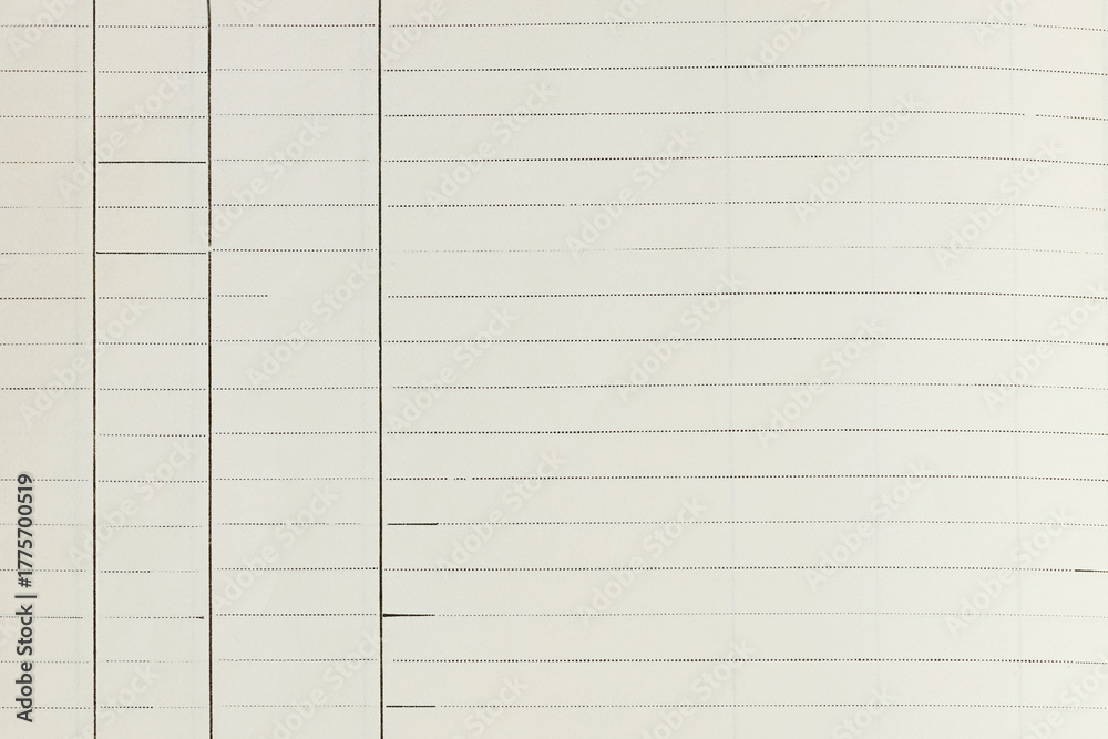 Fototapeta premium Blank Ledger Page with Vertical and Horizontal Lines for Record Keeping