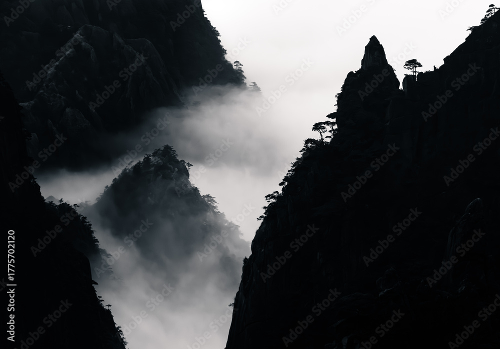Obraz premium Huangshan Yellow Mountain in China tree silhouettes among fog in black and whit