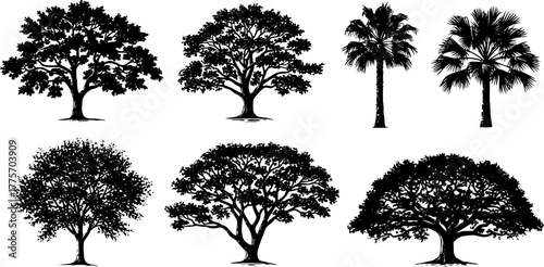Black and white grunge linocut silhouette set of oak and palm trees for rustic design
