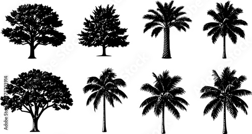 Black and white grunge linocut silhouette set of oak and palm trees for rustic design
