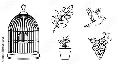A simple black and white illustration of a birdcage bird and plants