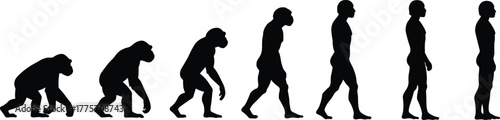 Human evolution, silhouette, primate, ape, hominid, anthropology, science, biology, history, progress, mankind, species, posture, anatomy, research, education, timeline, development,
