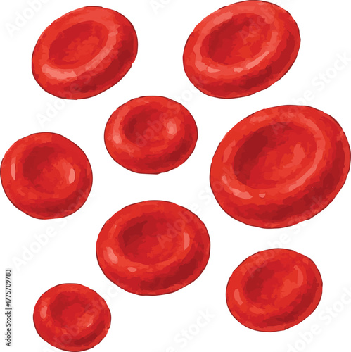 Watercolor vector illustration of a red blood cell