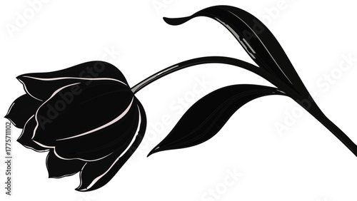 Elegant silhouette of a tulip flower with gracefully curved stem and leaves in black and white design vreated with genrated ai