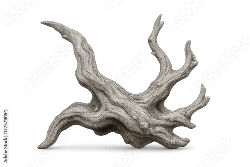 Weathered driftwood piece with twisted dry branches against a transparent background, symbolizing nature's resilience