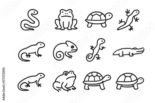 Reptile Outline Icons. Reptiles and amphibians. Line outline icon set of reptiles and amphibians: snake, frog,
