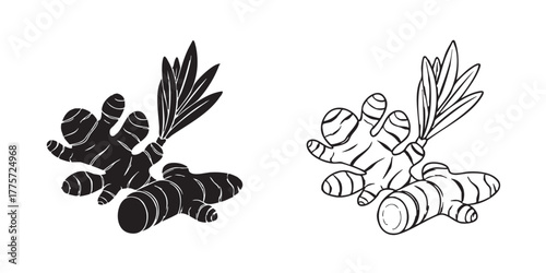 turmeric and ginger roots icon vector