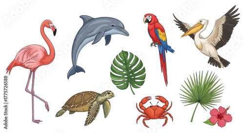 Collection of tropical animals including a flamingo, dolphin, parrot, pelican, sea turtle, crab, and tropical leaves and flowers