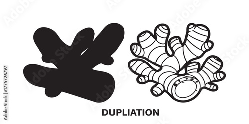 turmeric and ginger roots icon vector