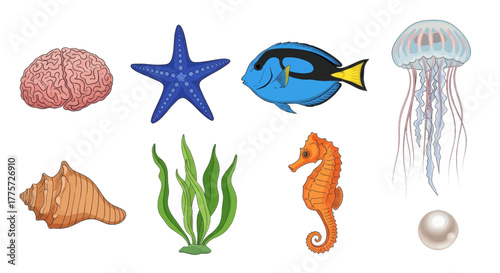 Collection of Marine Life and Ocean Objects