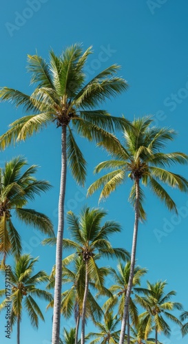 Wallpaper Mural Lush tropical palm trees swaying gently against a bright blue sky, creating a joyful and wonderfully relaxing atmosphere, green, blue, tropical Torontodigital.ca