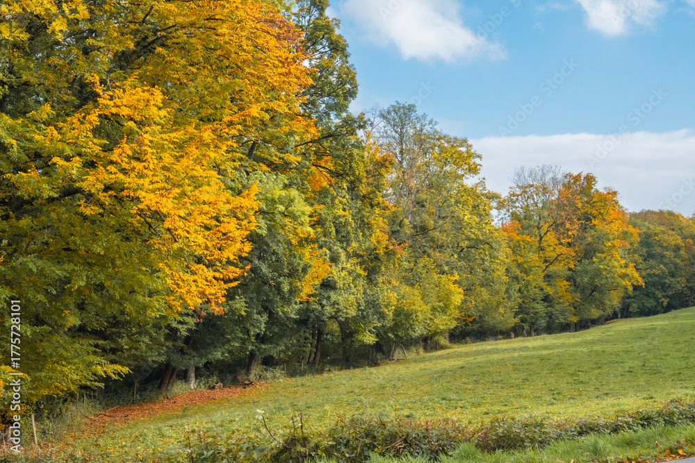 Fototapeta premium Couleurs d’automne au pied du Jura vaudois