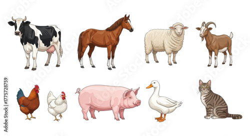 Collection of farm animals including a cow, horse, sheep, goat, chicken, pig, duck, and cat, isolated on white