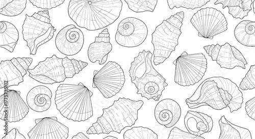 Intricate seamless pattern with various hand-drawn seashells, all detailed in a monochrome line art style for elegance.