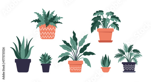 Vibrant assortment of various potted houseplants, including succulents and leafy greens, creating a serene indoor garden.