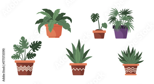 Charming set of six potted plants, featuring lush green foliage and various plant types, perfect for indoor decor and botanical-themed projects.