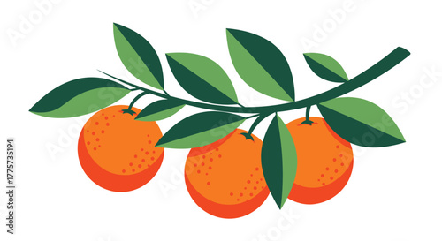 Lush branch adorned with three vibrant oranges and green leaves, symbolizing freshness and nature for healthy food and juice-related designs.